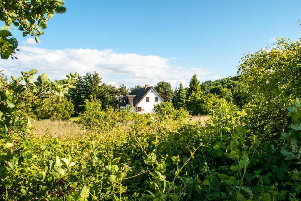 Dat Witte Hus Moritzdorf Ruegen Ferienwohnungen - Ruhige Lage 외부 사진